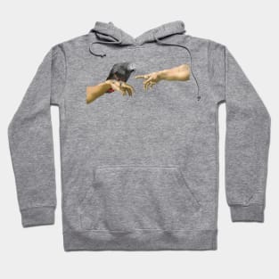 Michelangelo's Angry African Grey Parrot Hoodie